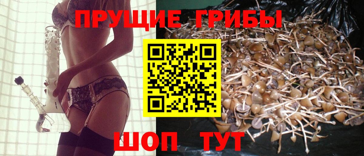 Алапаевск  Галлюциногенные грибы ЛСД  Вход с VPN  Галлюциногенные грибы Magic Shrooms 